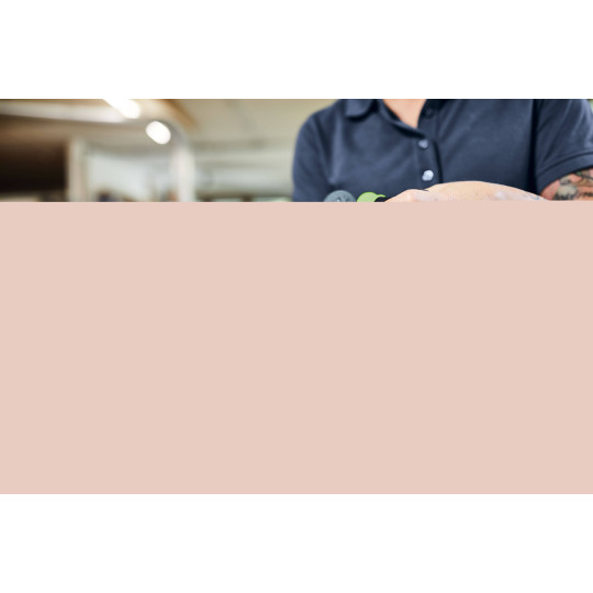 Festool Akumulatorowa wiertarko-wkrętarka udarowa TPC 18/4 I-Basic-Set QUADRIVE 577625