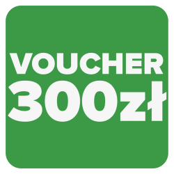 Bon podarunkowy 300zł Festool
