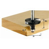 Festool  Frez do zaokrągleń HW z trzpieniem 8 mm HW S8 D255/R635 KL 491013